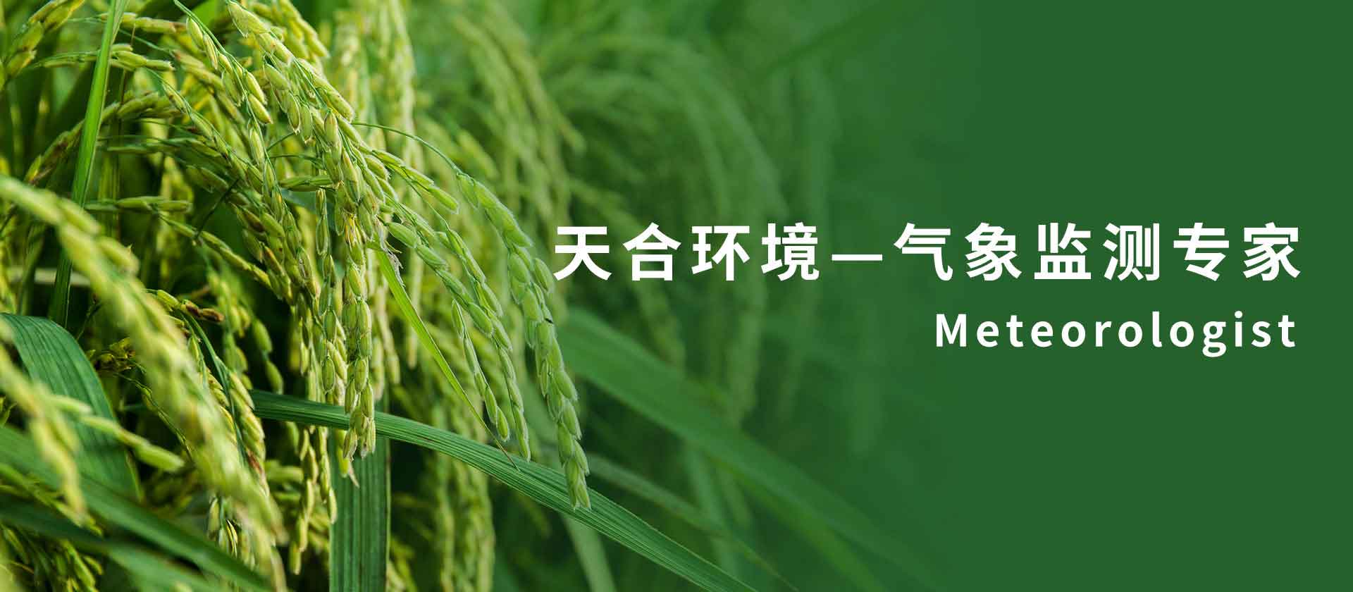 农业气象站-韦博体育app下载